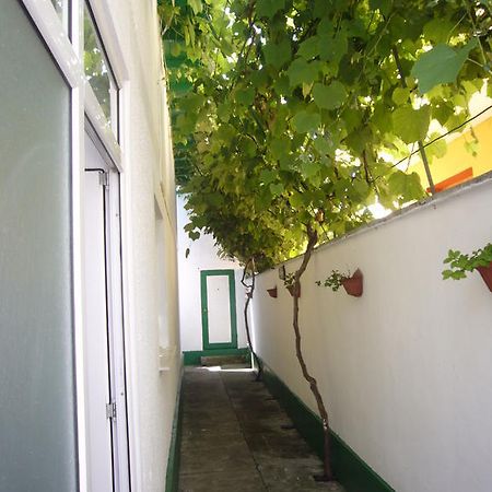 Apartamente Pinciuc Costinesti Extérieur photo