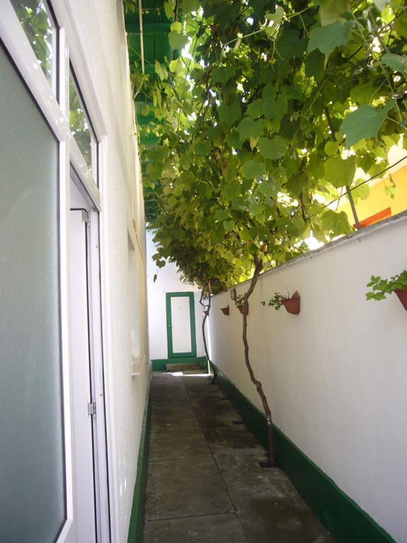 Apartamente Pinciuc Costinesti Extérieur photo